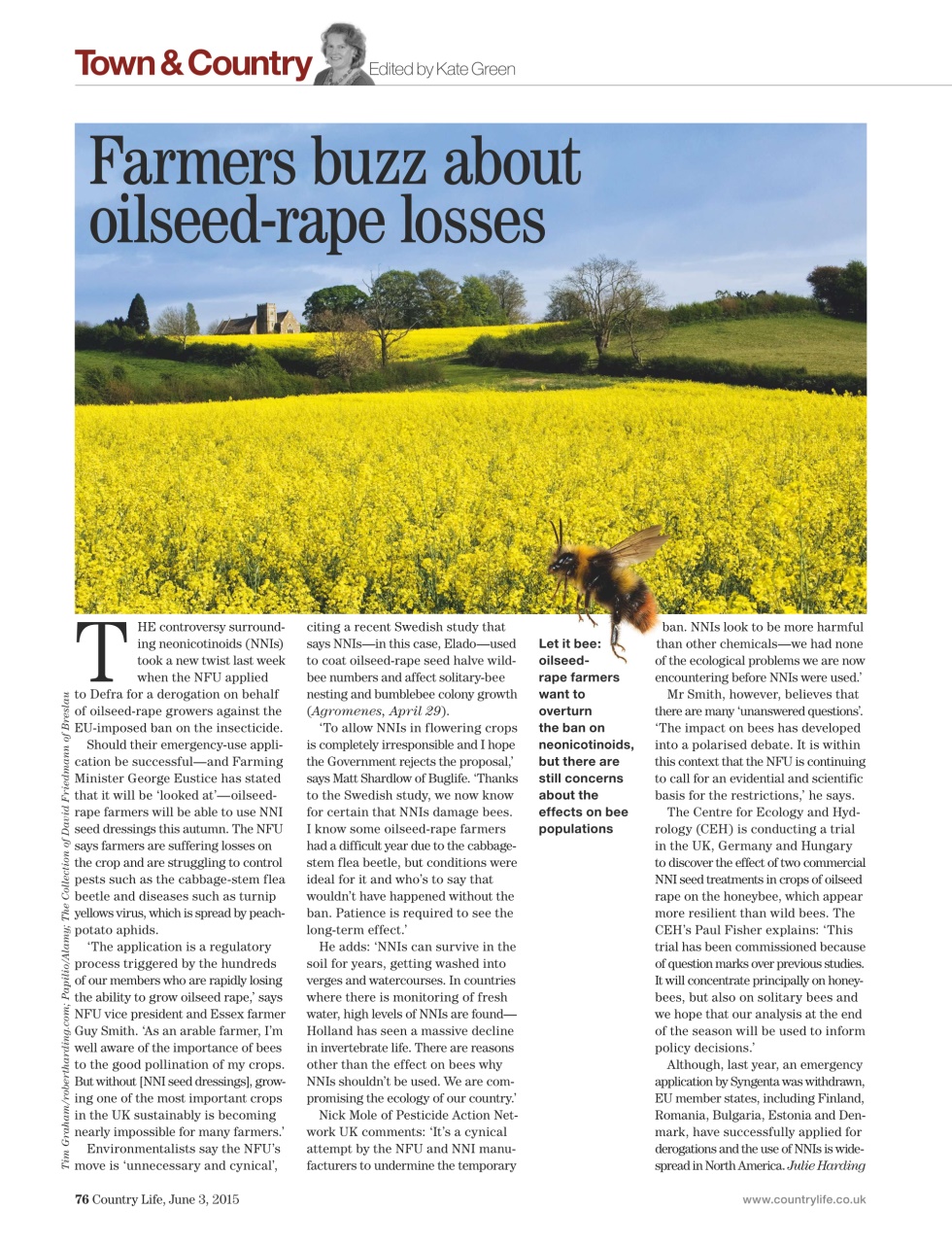 Country Life Preview Pages