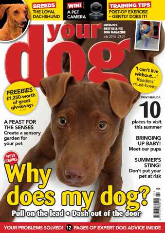 Your Dog issue Your Dog Magazine July 2015