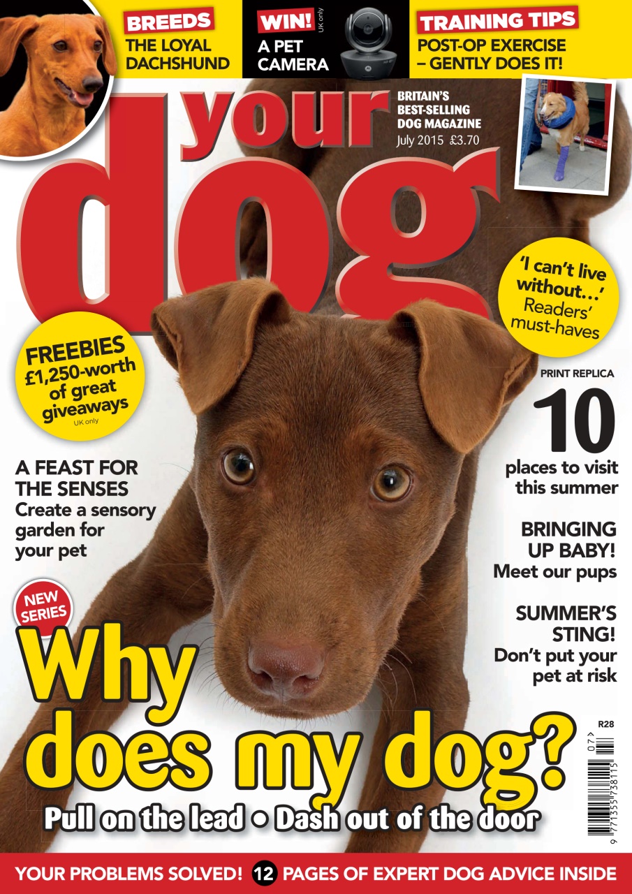 Your Dog Preview Pages