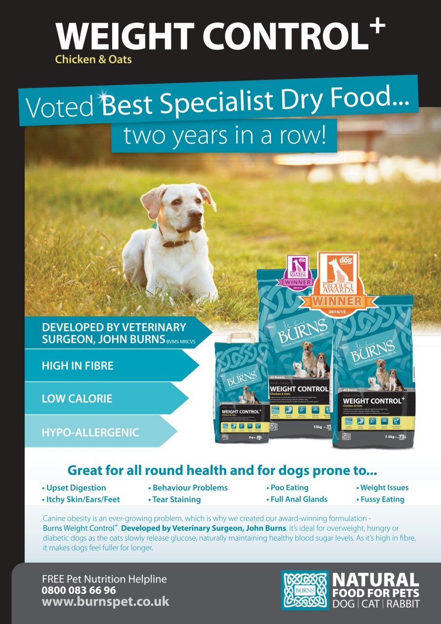 Your Dog Preview Pages