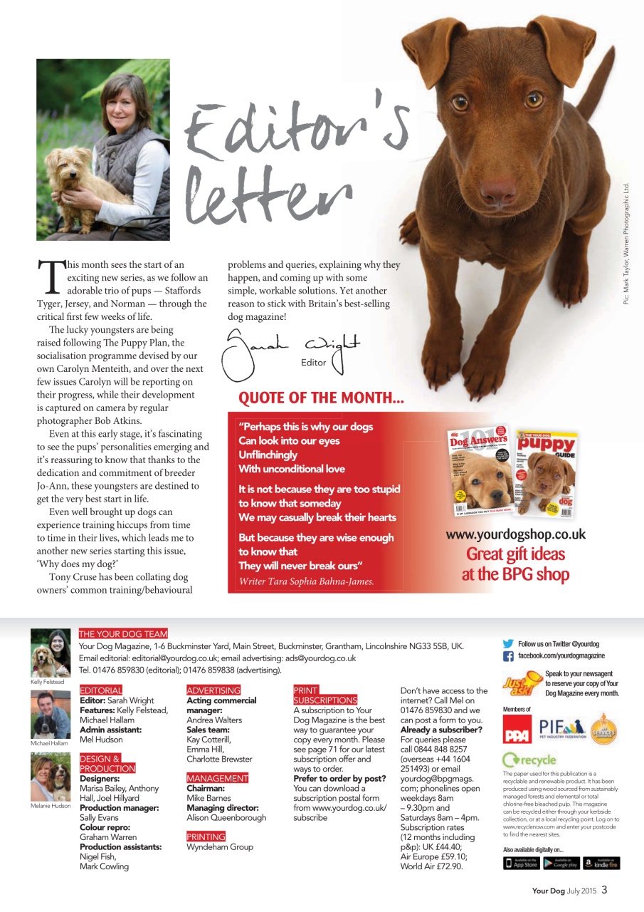 Your Dog Preview Pages