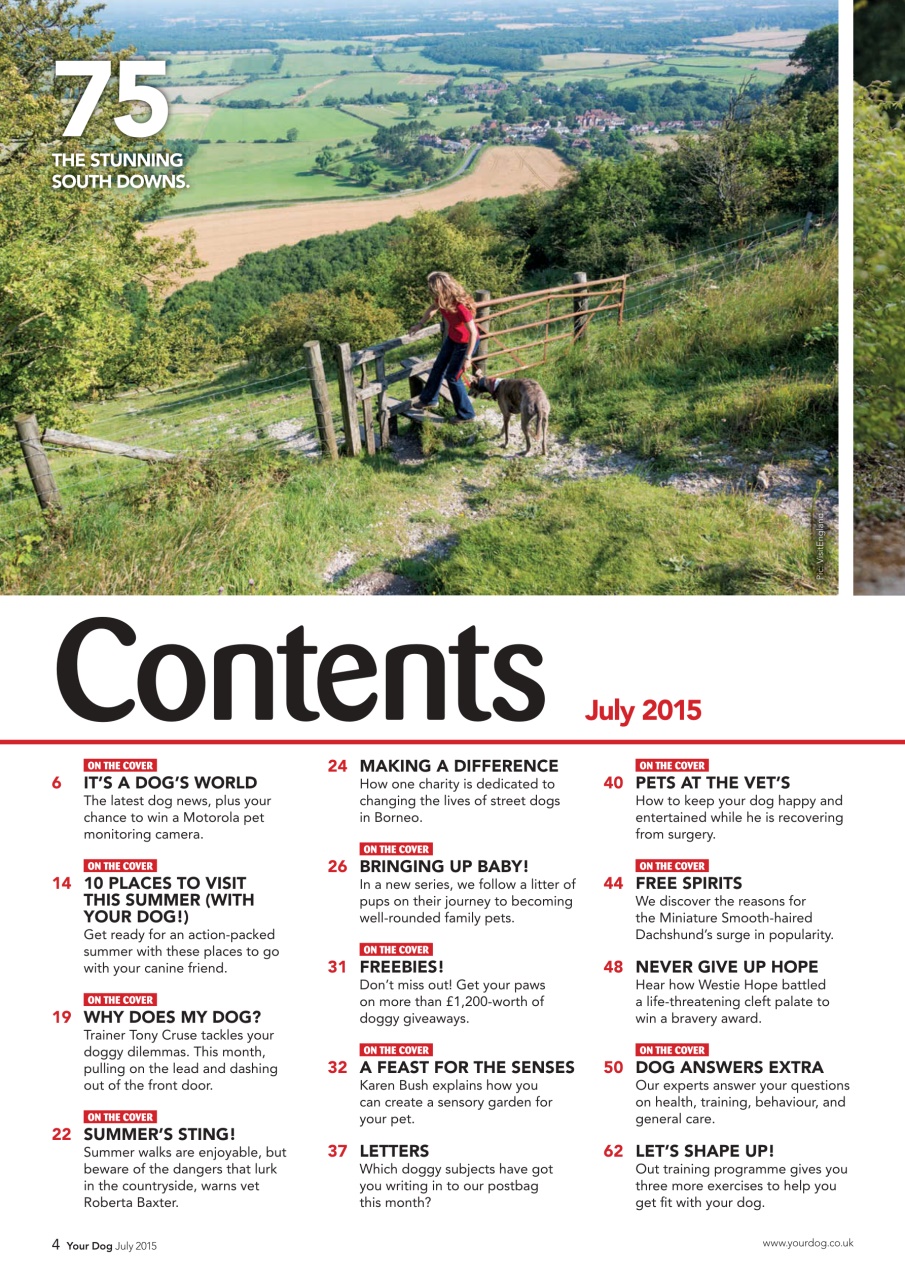 Your Dog Preview Pages