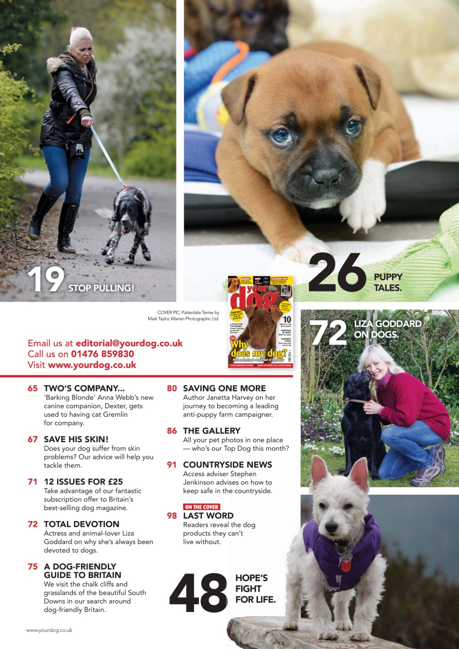 Your Dog Preview Pages