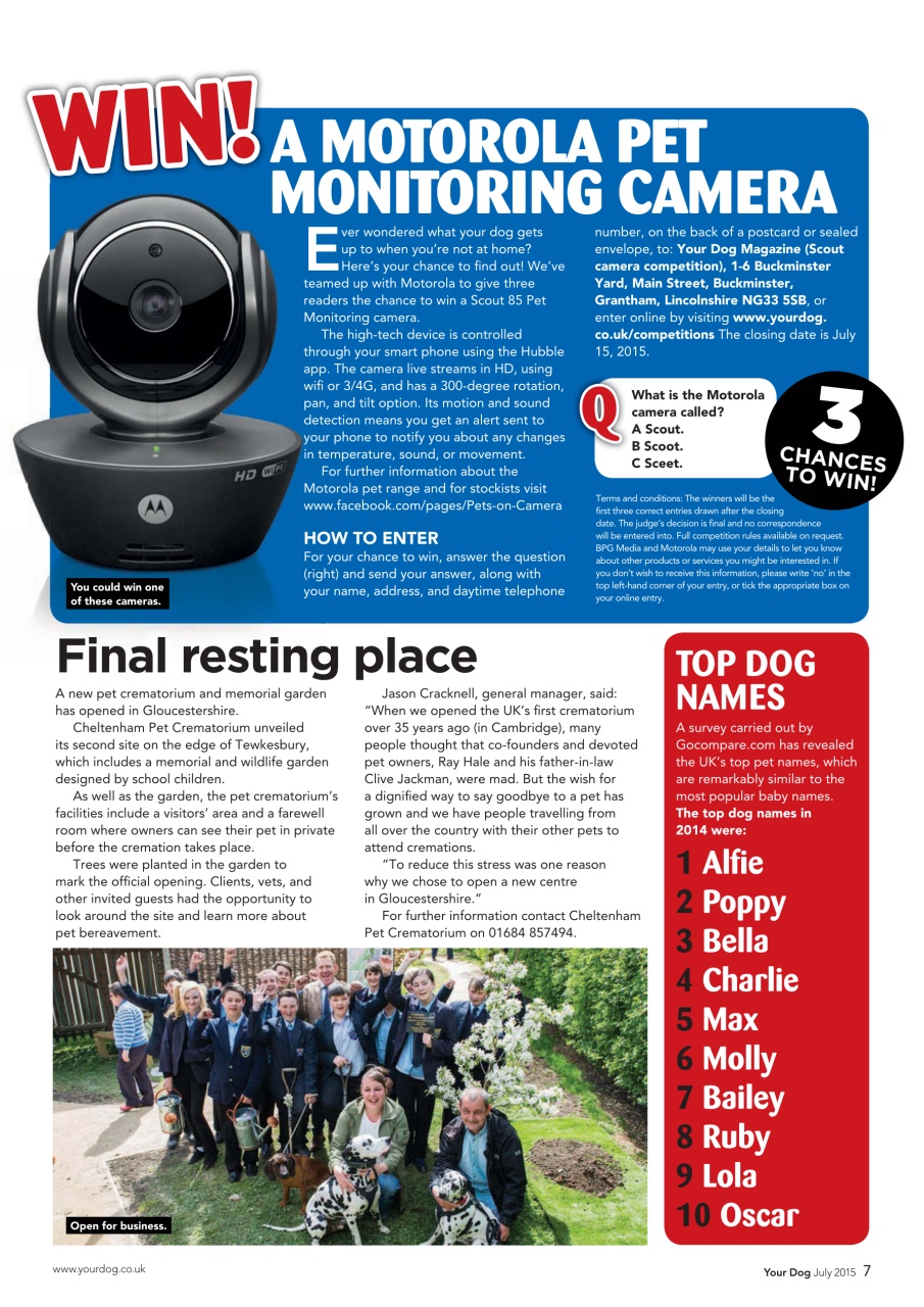 Your Dog Preview Pages