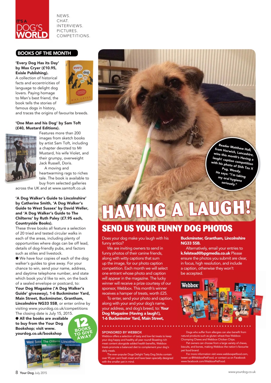 Your Dog Preview Pages