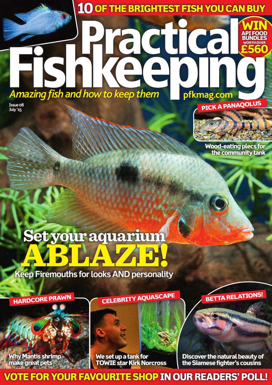 Practical Fishkeeping Preview Pages