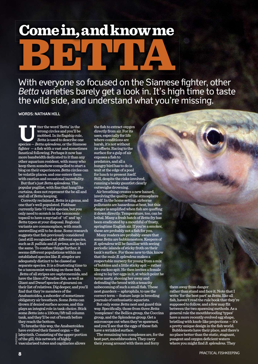 Practical Fishkeeping Preview Pages
