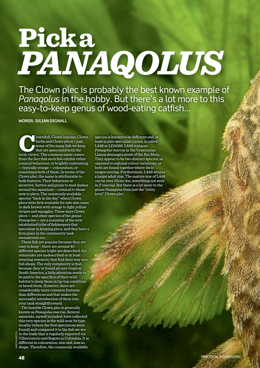 Practical Fishkeeping Preview Pages