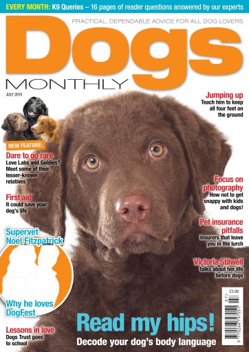 Dogs Monthly issue 