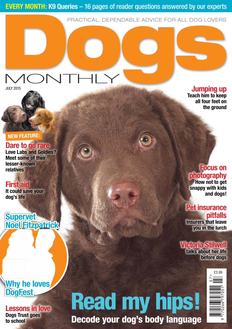 Dogs Monthly Preview Pages