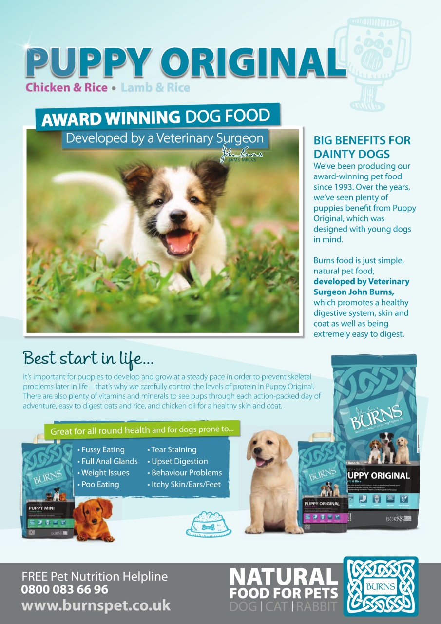 Dogs Monthly Preview Pages