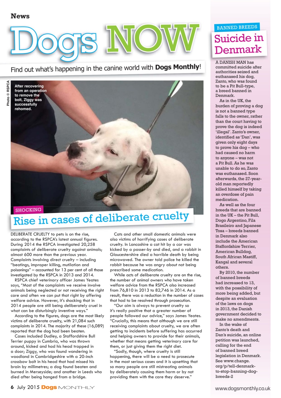Dogs Monthly Preview Pages
