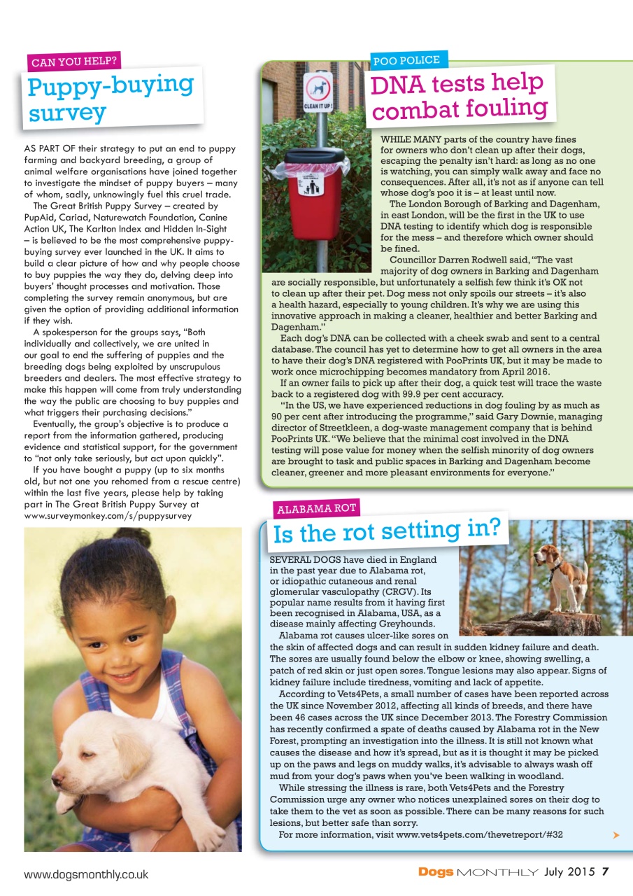 Dogs Monthly Preview Pages