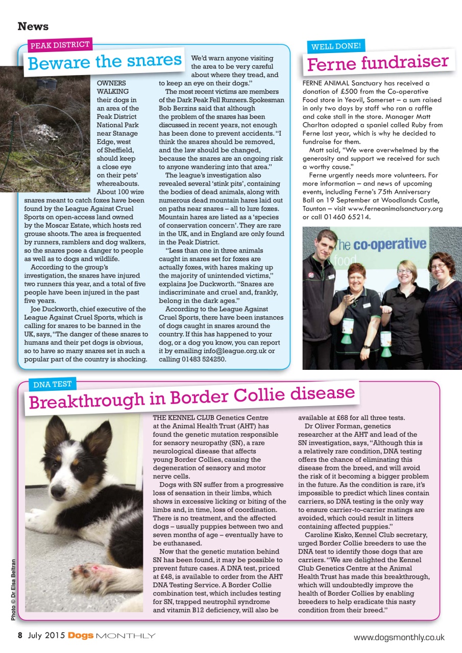 Dogs Monthly Preview Pages
