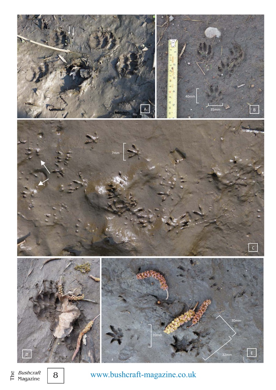 Bushcraft Magazine Preview Pages