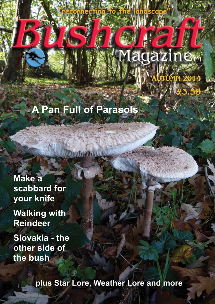 Bushcraft Magazine Preview Pages