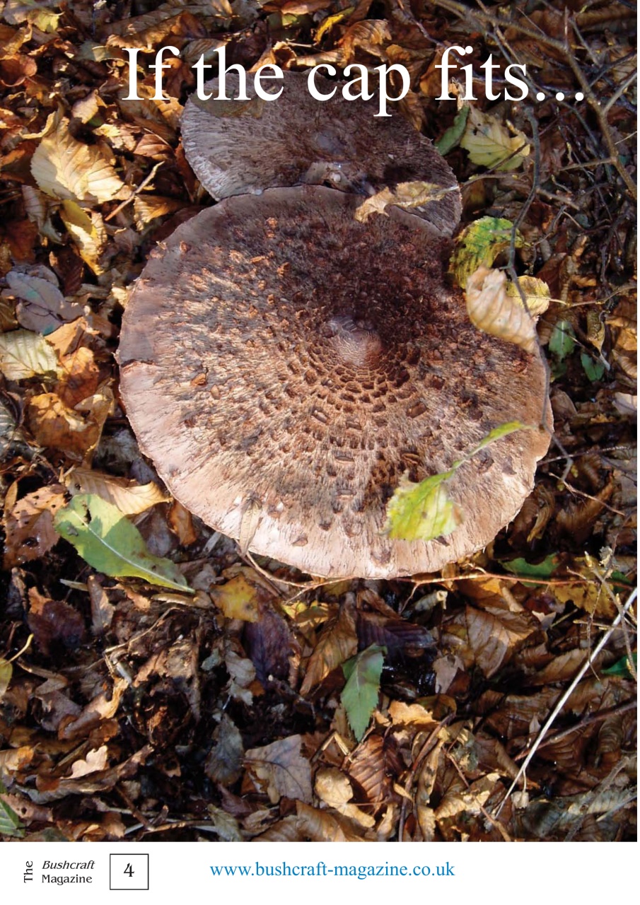 Bushcraft Magazine Preview Pages