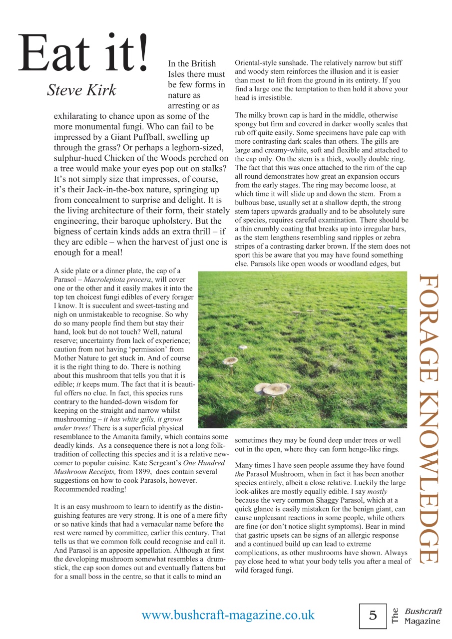 Bushcraft Magazine Preview Pages