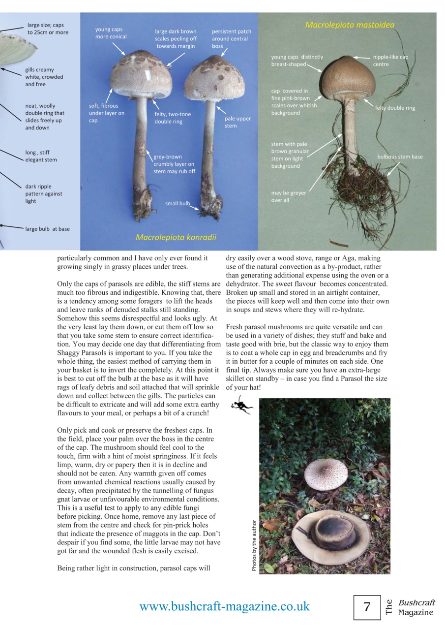 Bushcraft Magazine Preview Pages