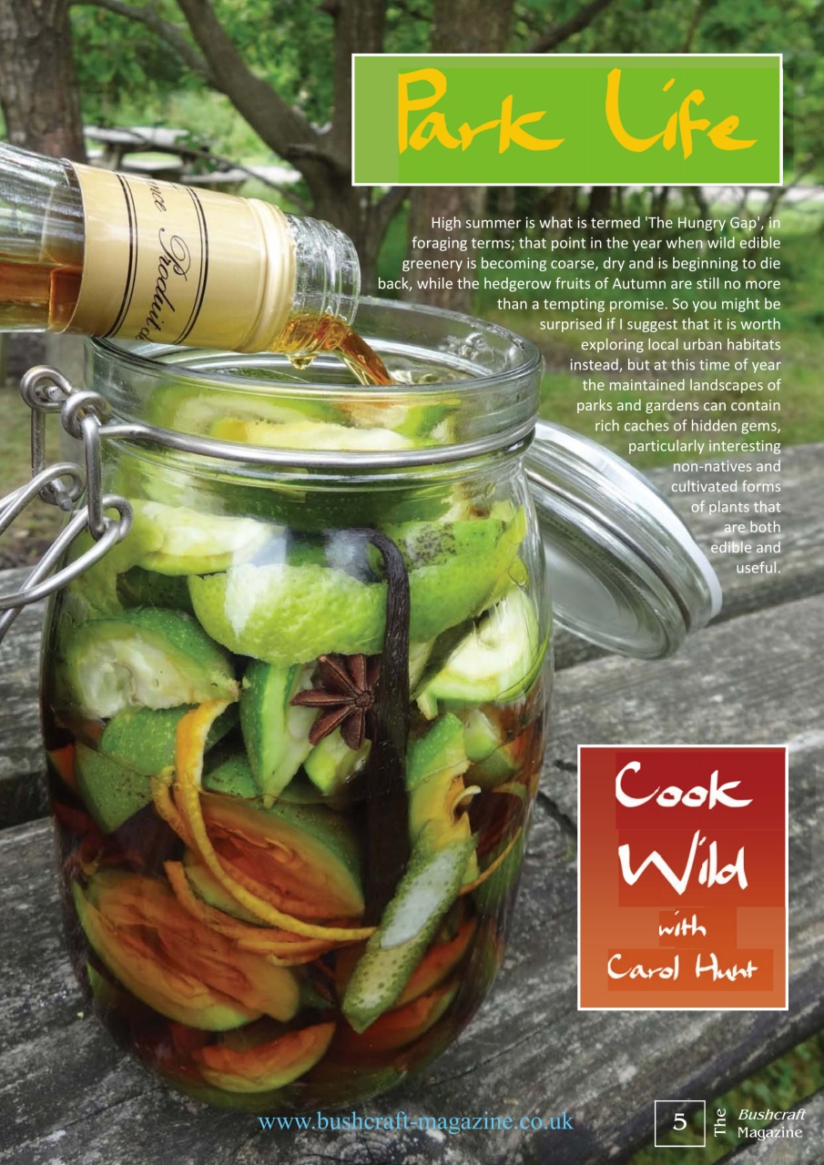 Bushcraft Magazine Preview Pages