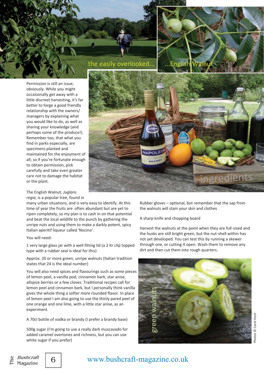 Bushcraft Magazine Preview Pages