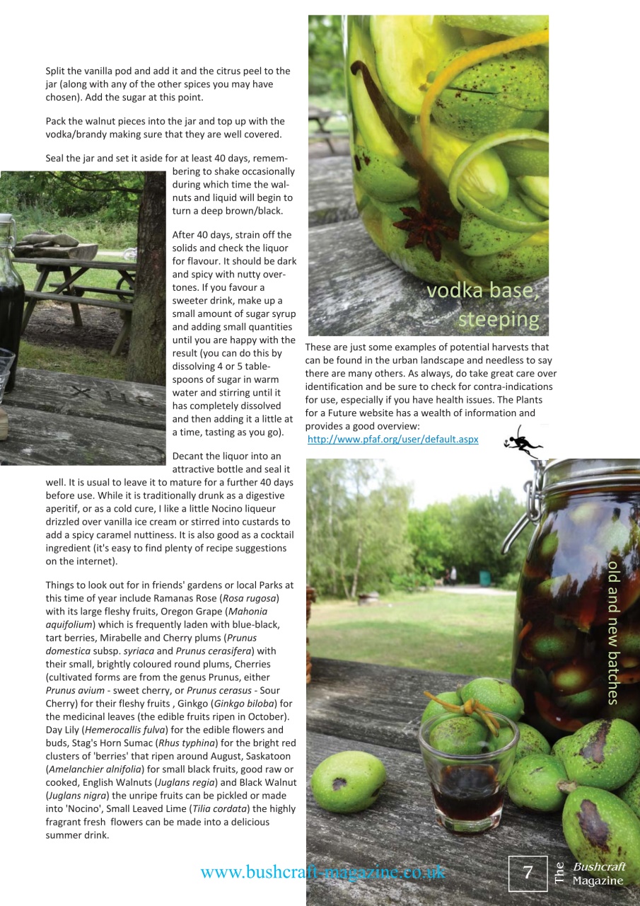 Bushcraft Magazine Preview Pages