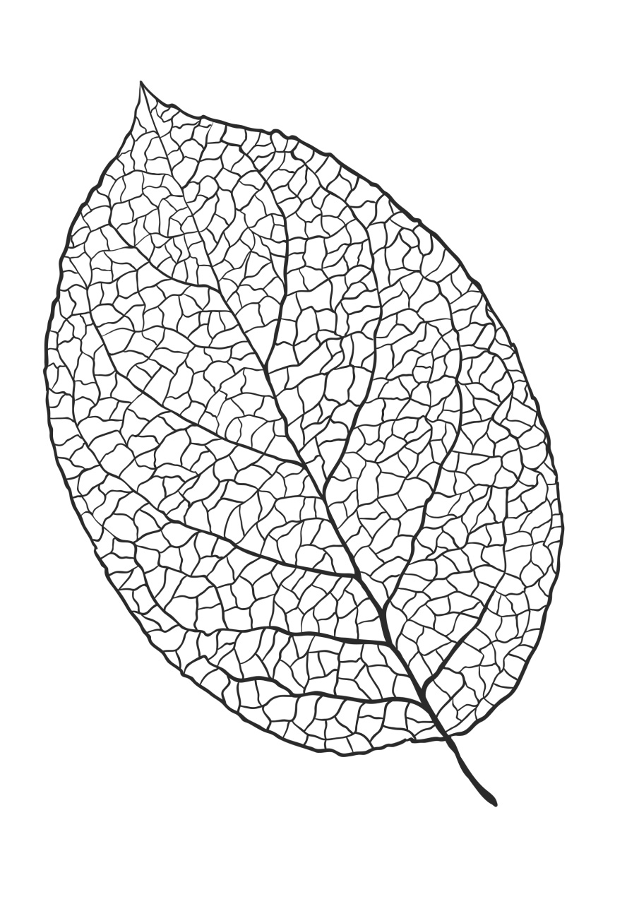 Popular Patchwork Magazine Preview Pages