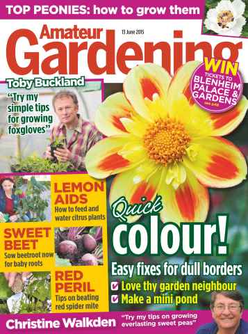 Amateur Gardening issue 13th June 2015