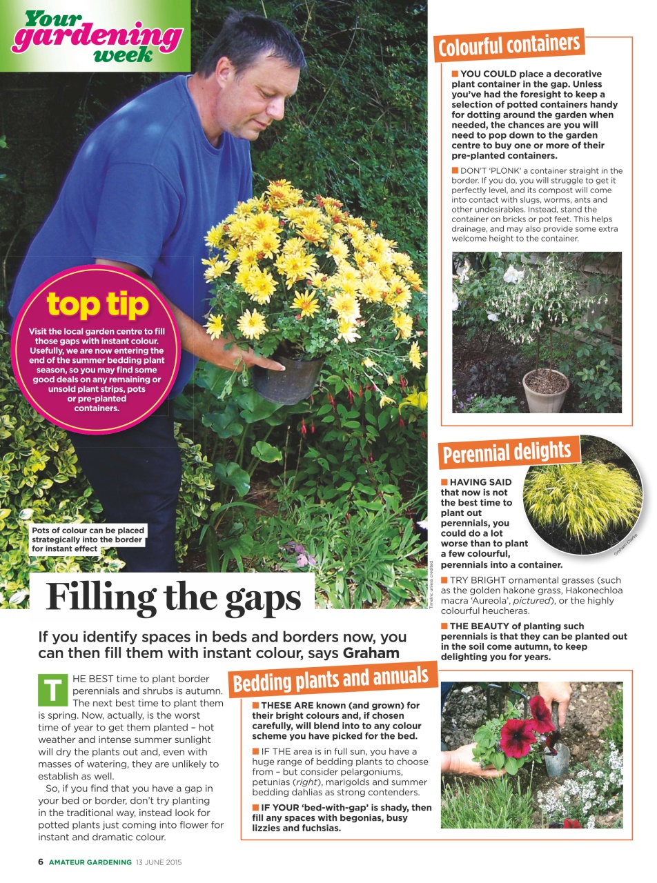 Amateur Gardening Preview Pages