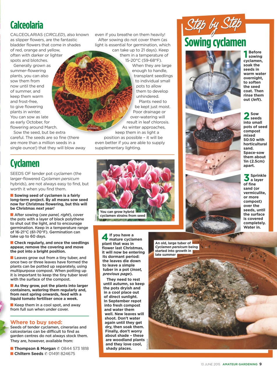 Amateur Gardening Preview Pages