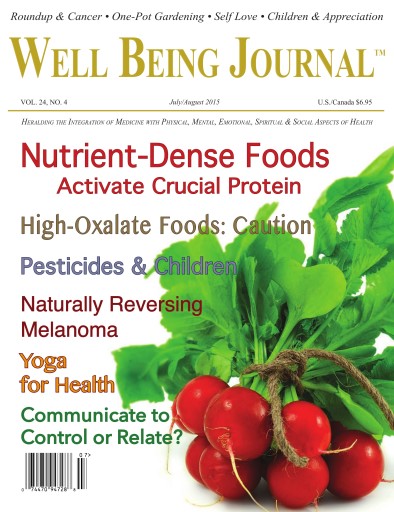 Well Being Journal issue 