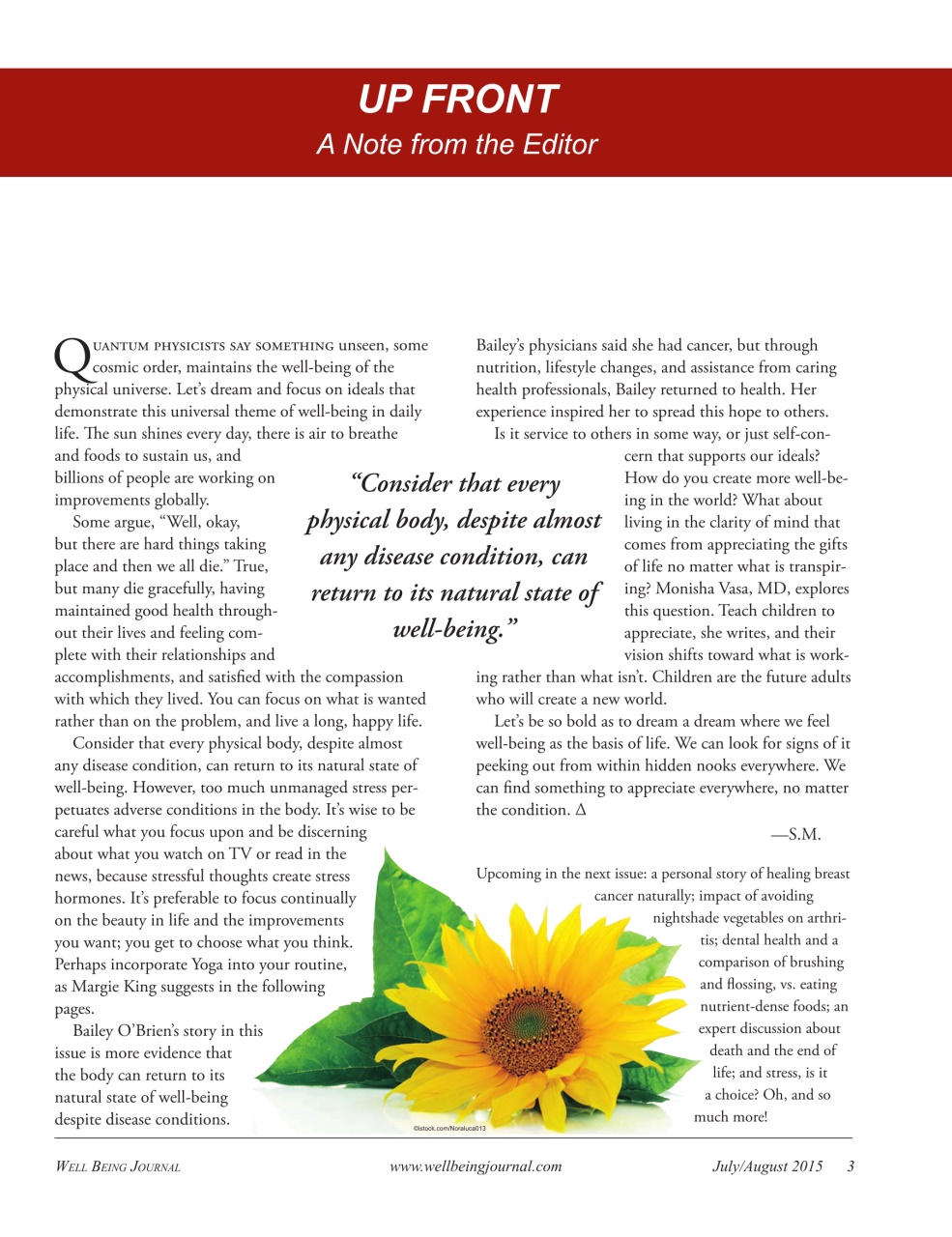 Well Being Journal Preview Pages