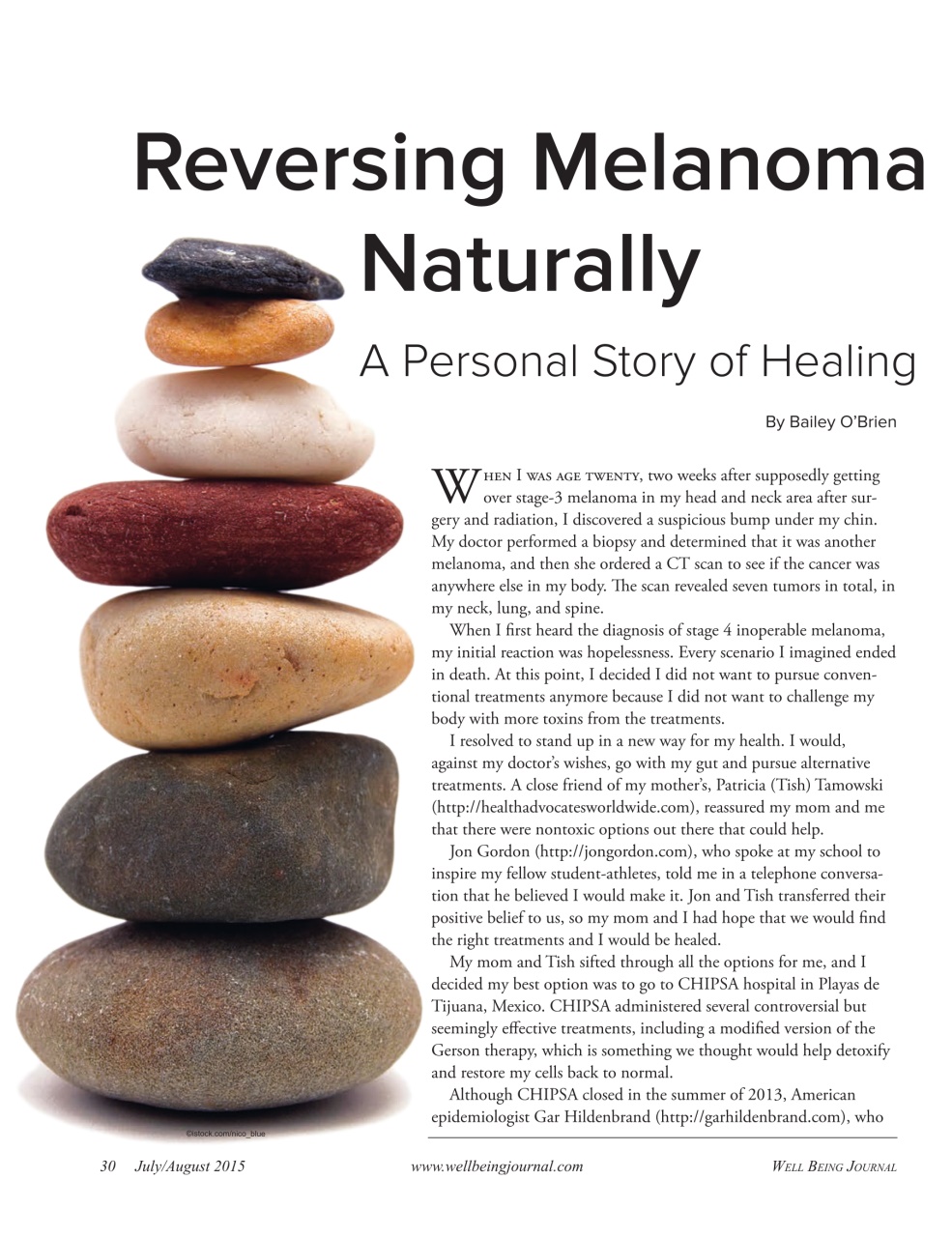 Well Being Journal Preview Pages