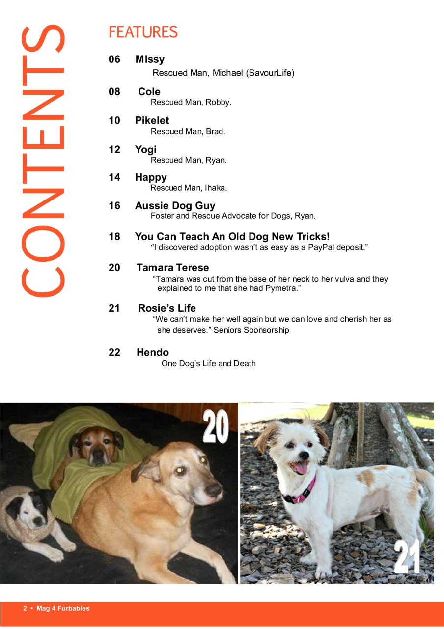 Mag 4 Furbabies Preview Pages