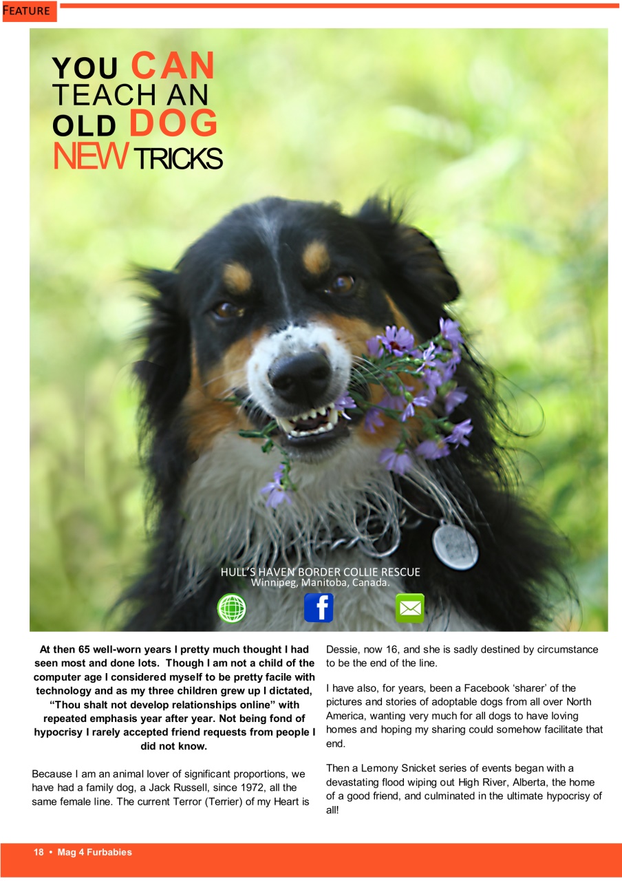 Mag 4 Furbabies Preview Pages