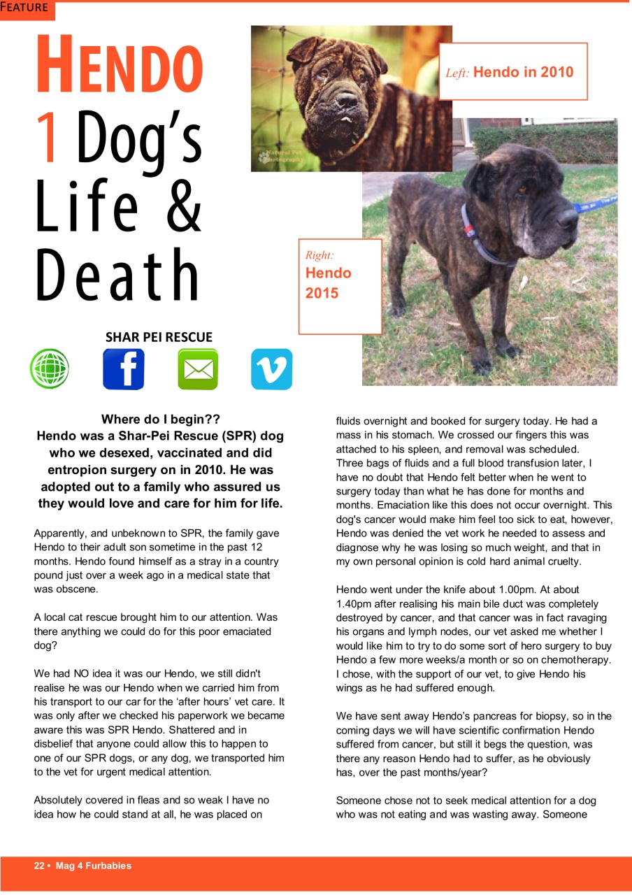 Mag 4 Furbabies Preview Pages