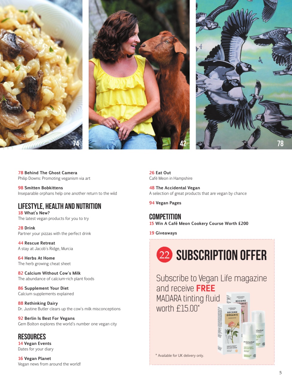 Vegan Life Preview Pages