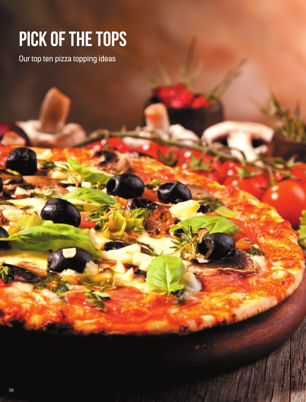 Vegan Life Preview Pages