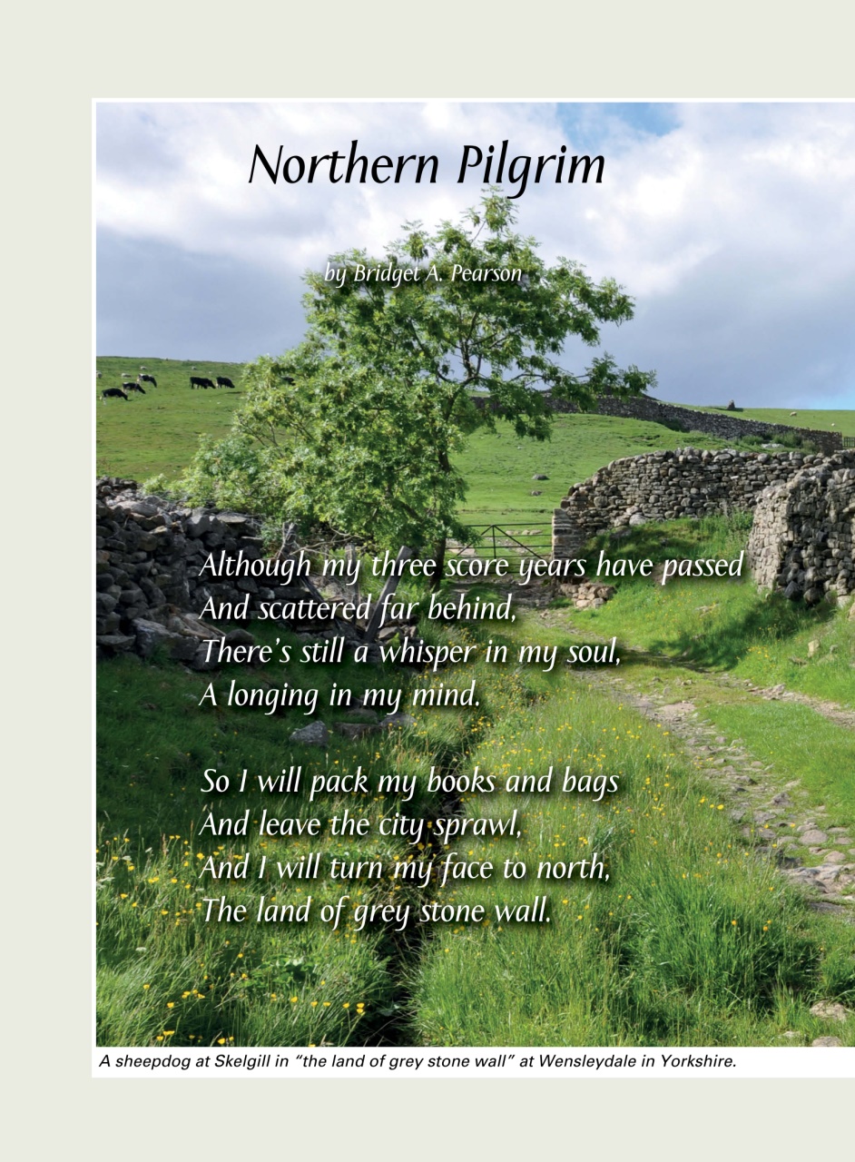 Evergreen Preview Pages