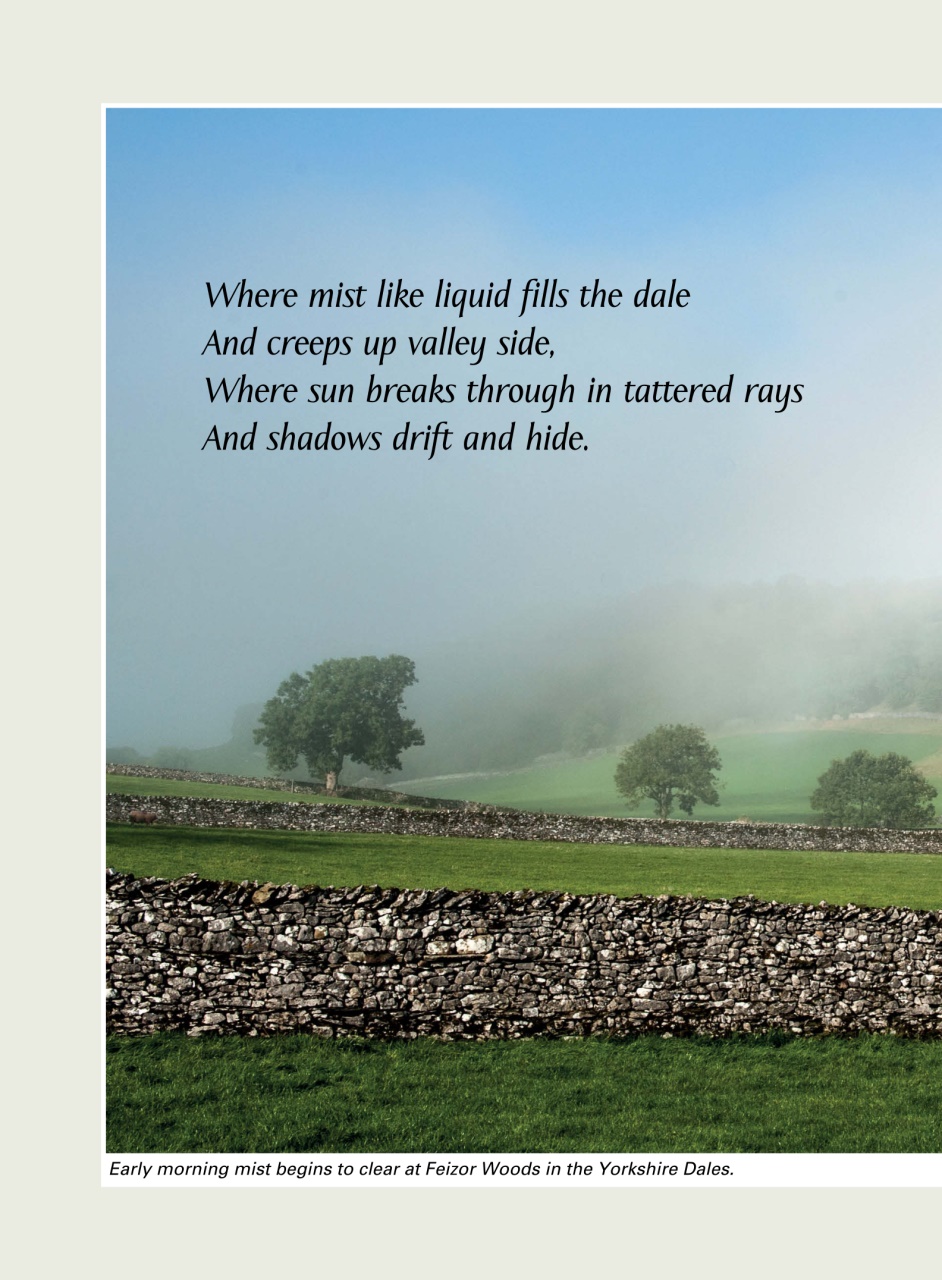 Evergreen Preview Pages