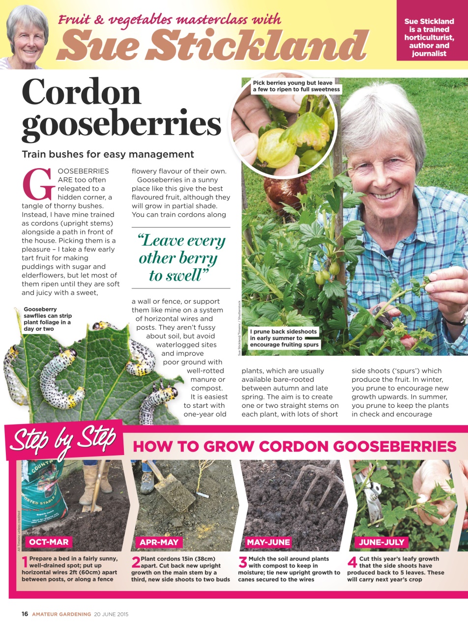 Amateur Gardening Preview Pages