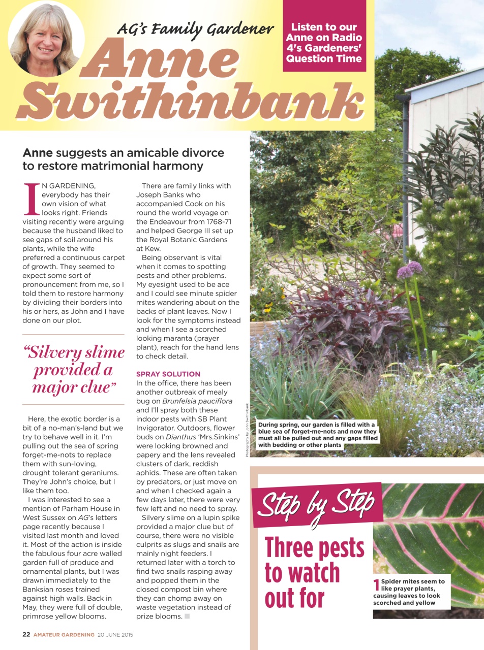 Amateur Gardening Preview Pages
