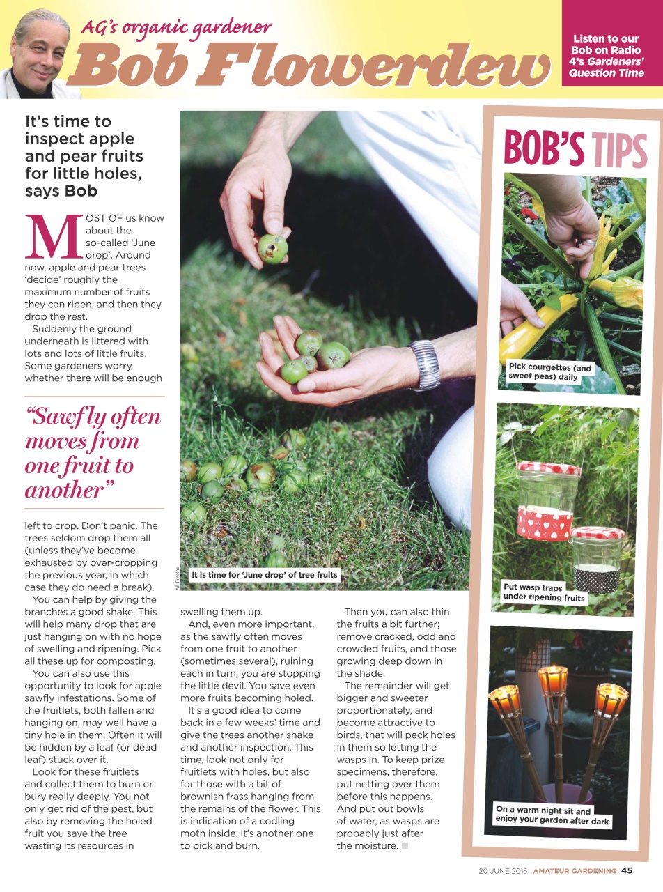 Amateur Gardening Preview Pages