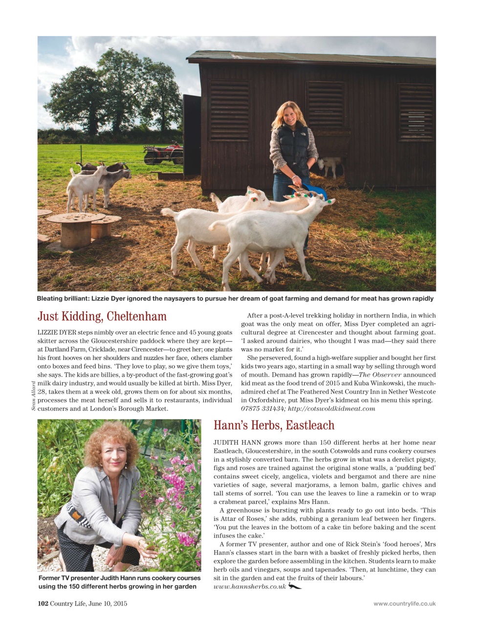 Country Life Preview Pages