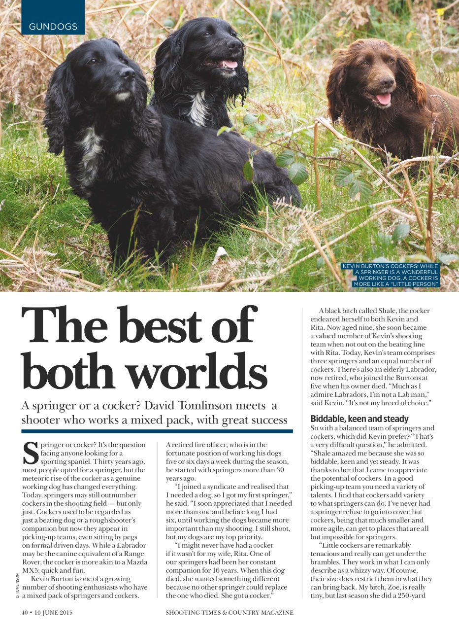 Shooting Times & Country Preview Pages