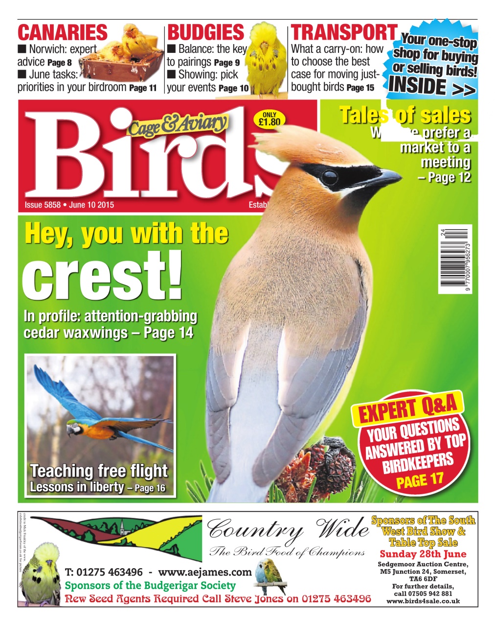 Cage & Aviary Birds Preview Pages