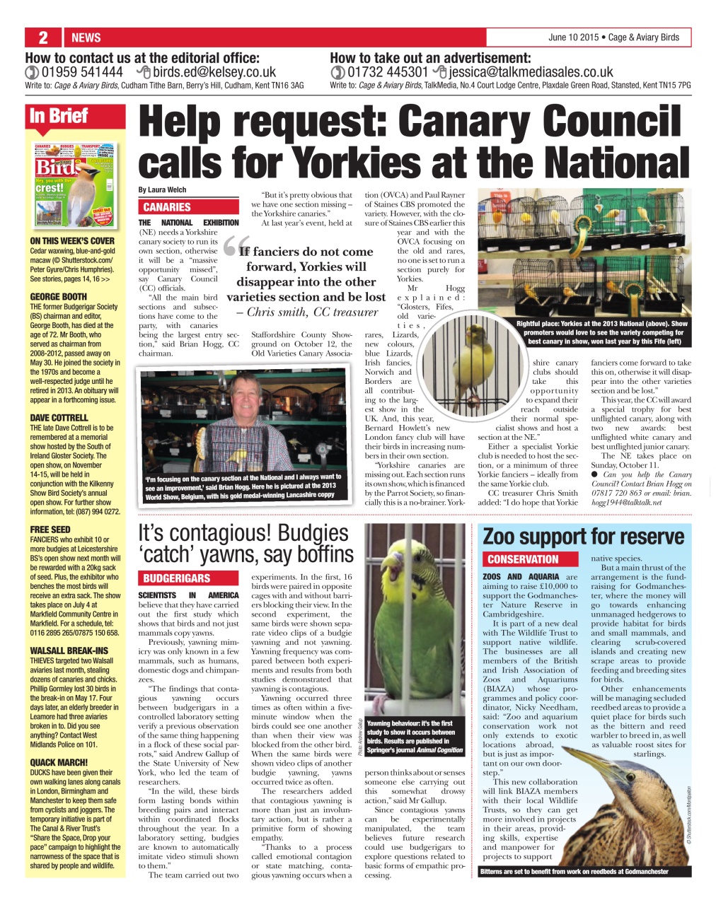 Cage & Aviary Birds Preview Pages