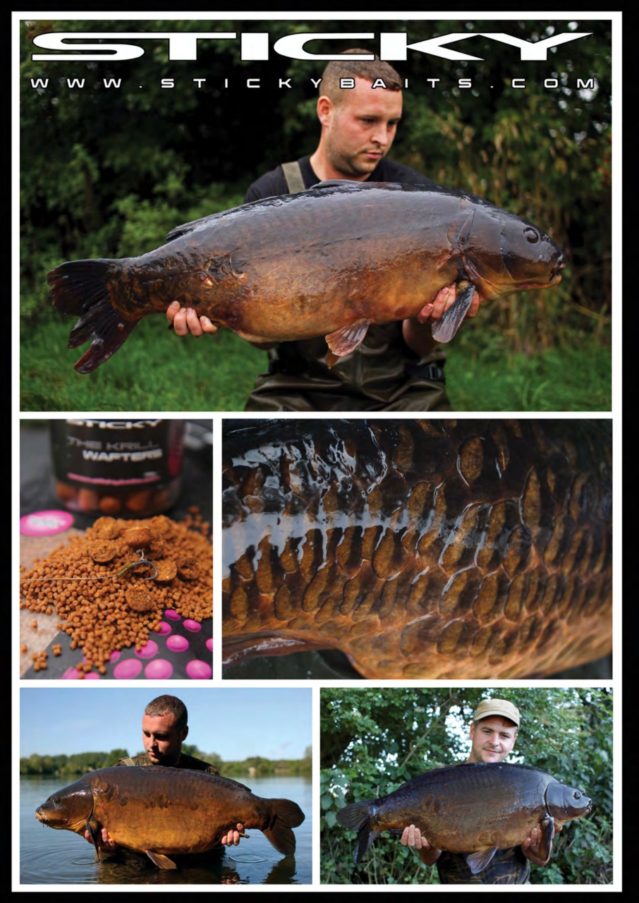 Crafty Carper Preview Pages
