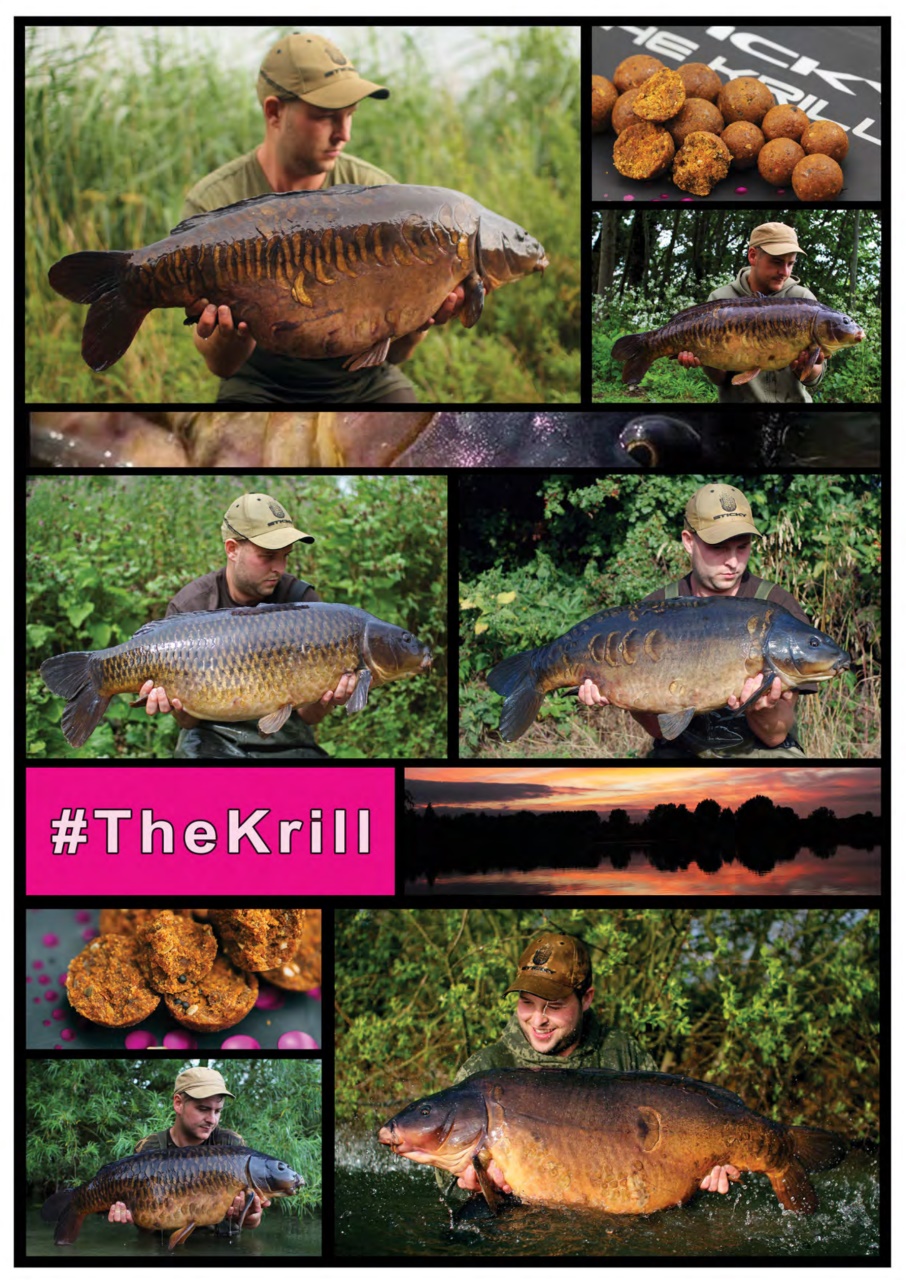 Crafty Carper Preview Pages