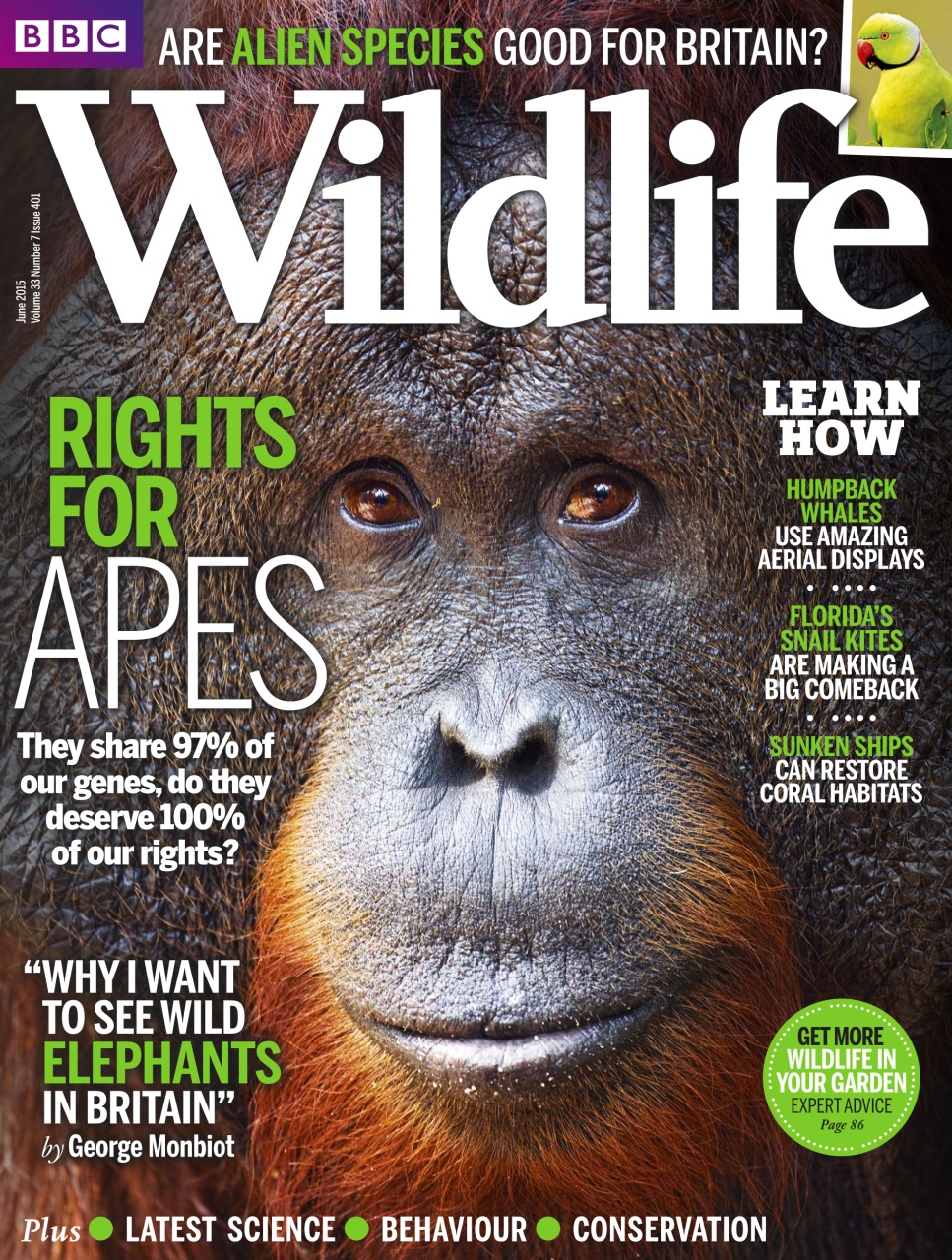 BBC Wildlife Magazine Preview Pages
